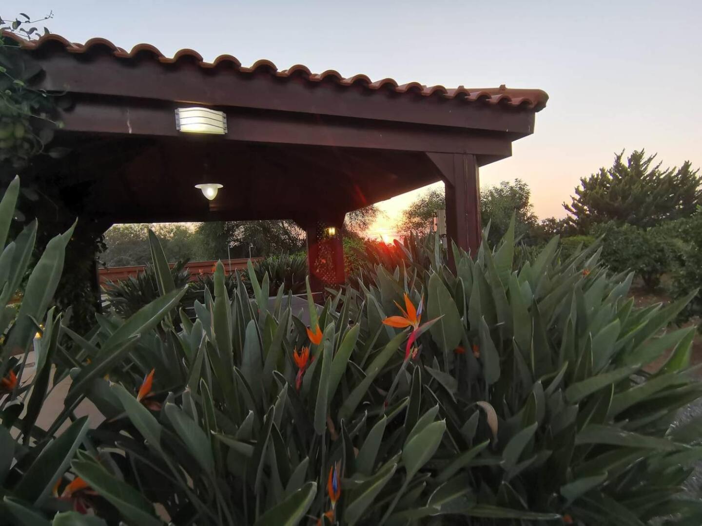 Orchard Blossom Private Villa With Pool Phrenaros Eksteriør billede